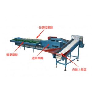750TC10自動控制分選選果機